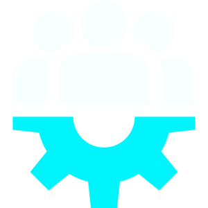 Delegate tax management & obligations DELEGATE TAX MANAGEMENT